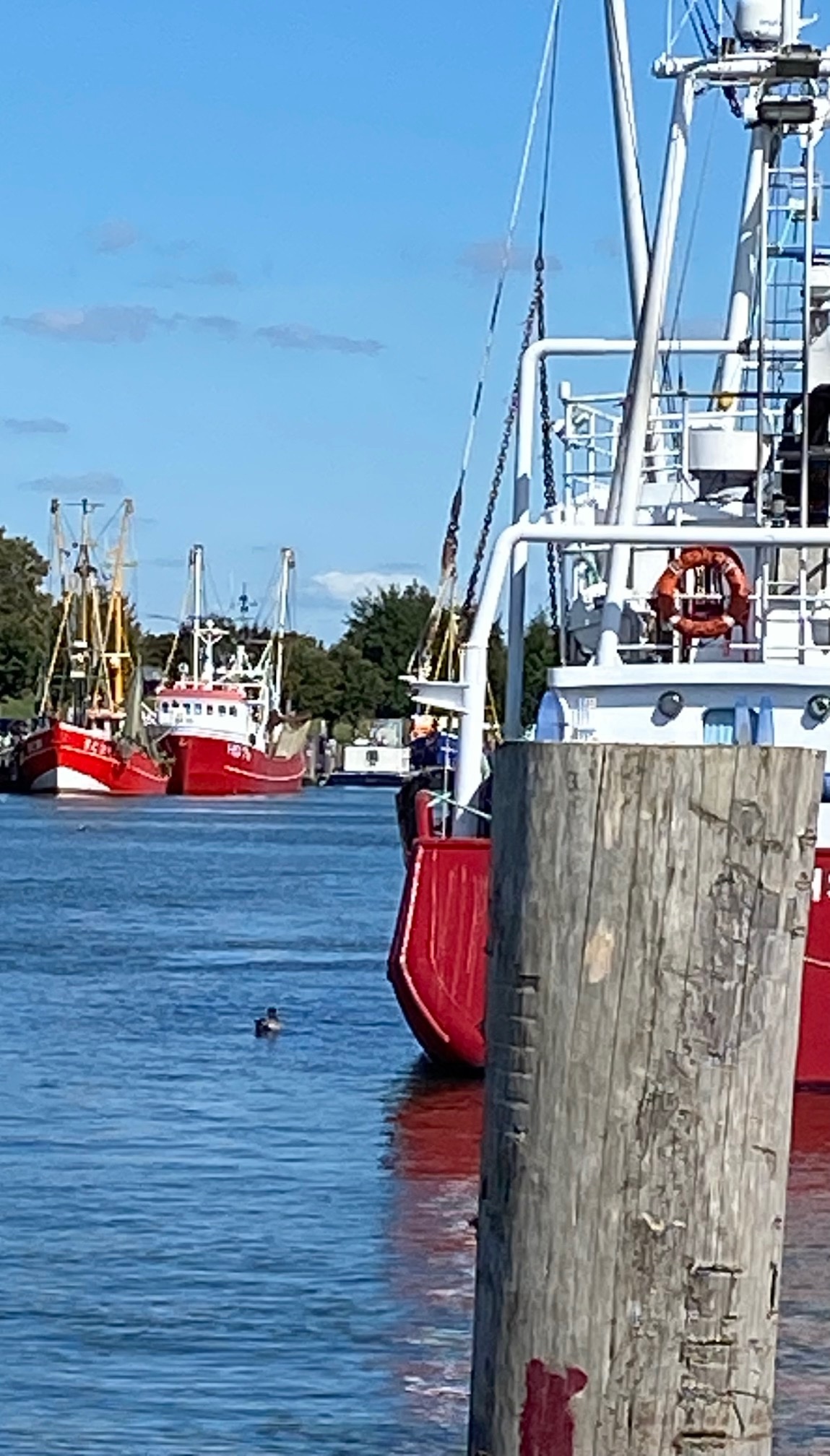 Zweiter Kutter – Kurs halten im persönlichen Coaching